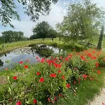 Idyllic And Peaceful Two Bedroom Σπίτι διακοπών *