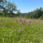 Idyllic And Peaceful Two Bedroom Boulogne-sur-Gesse